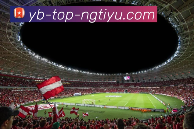 南宫体育服务体系